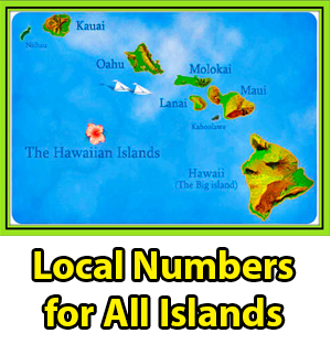 hawaii bail bonds for all islands